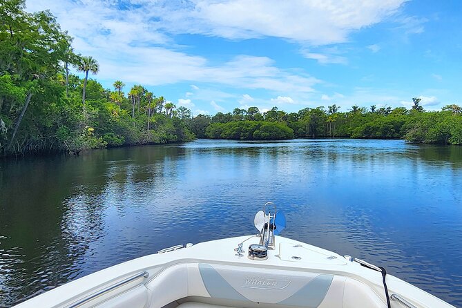 Sightseeing Cruise/Narrated Tour - Private 4 Hour - Accessibility and Participation