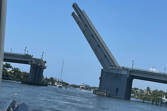 Sightseeing Cruise/Narrated Tour - Private 4 Hour - Enjoying the Cruise