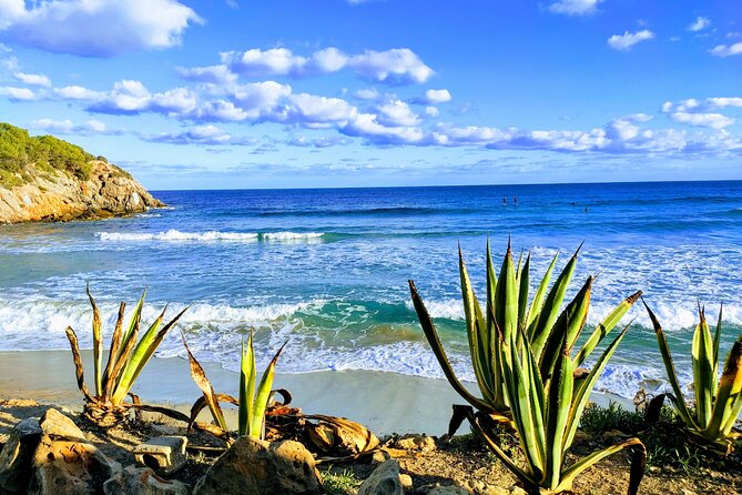 Sightseeing Day Tour Along the East and North Coasts of Ibiza! - Positive Guest Feedback