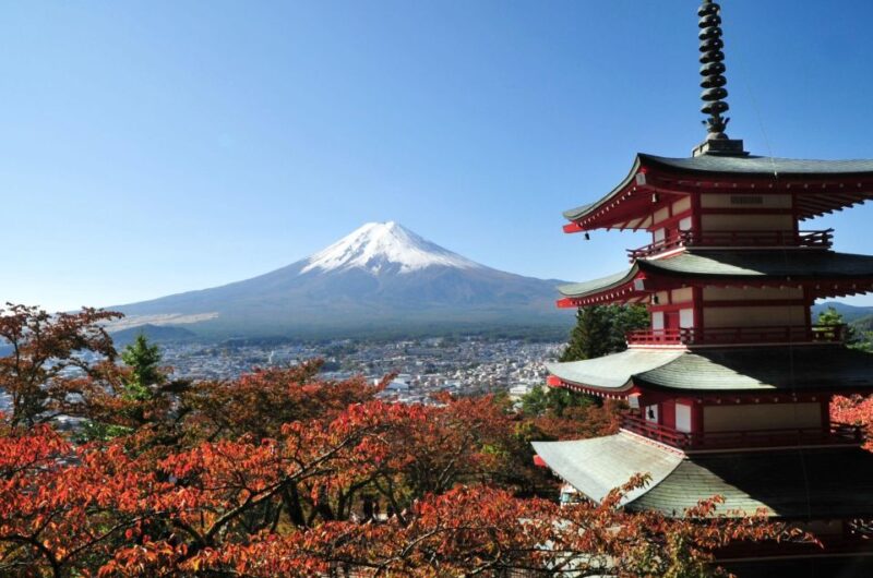 Sightseeing Day Trip to Mount Fuji and Hakone Green Number - Itinerary Options