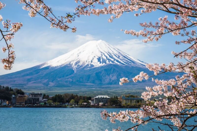 Sightseeing Day Trip to Mount Fuji and Hakone Green Number - FAQ