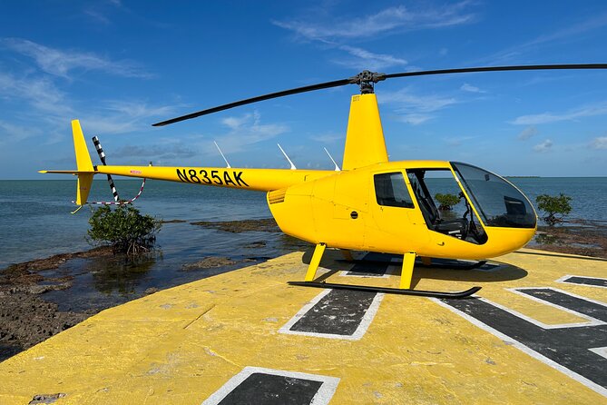 Sightseeing Helicopter Ride Tour Miami - Confirmation and Accessibility