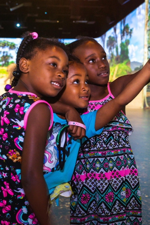 Sightseeing Select Pass Las Vegas - Included Attractions and Descriptions