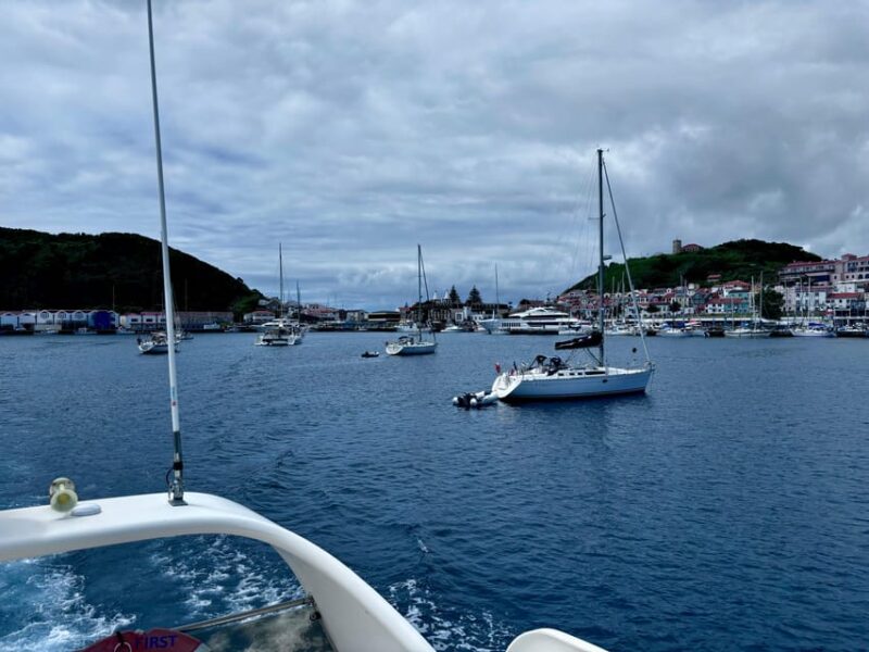 Sightseeing Tour and Yacht Sunset Cruise at Faial Island. - Included Services and Amenities