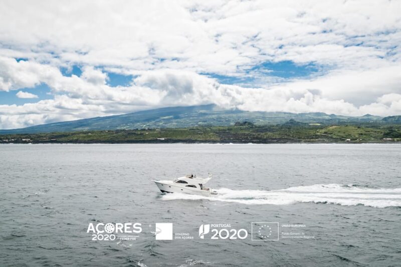 Sightseeing Tour and Yacht Sunset Cruise at Faial Island. - Important Information and Restrictions