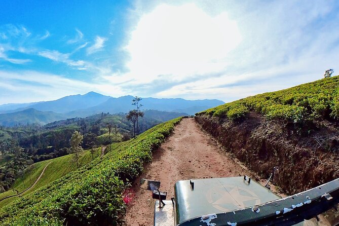 Sightseeing Tour Ella & Diyaluma Waterfall by Car - Reviews