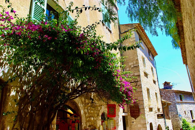 Sightseeing Tour From Nice to Saint-Paul-De-Vence and Provence - Highlights and Guest Testimonials