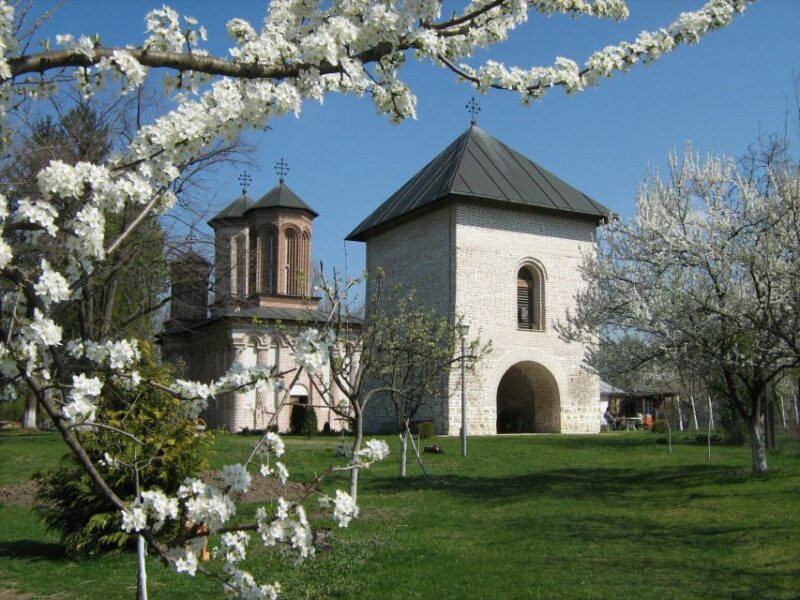 Sightseeing Tour of Bucharest and It'S Surroundings - Key Points