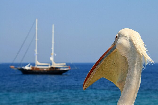 Sightseeing With a Mykonian - Peaceful Village Exploration