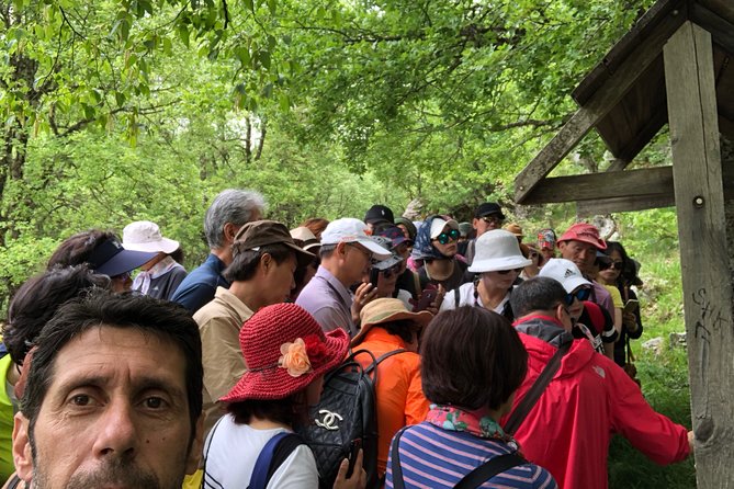 Sightseeing Zagori Daily Tour - Visiting Papigo Villages