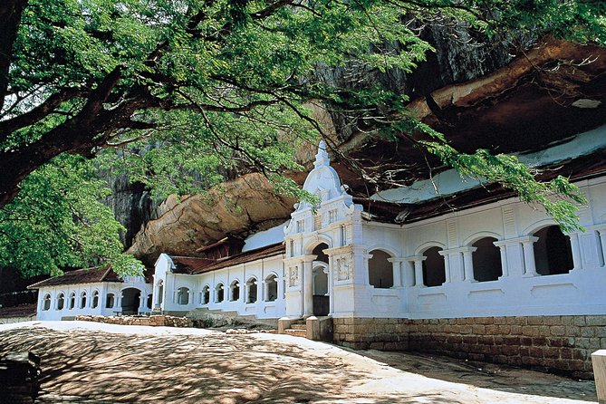 Sigiriya and Dambulla From Colombo - Tour Reviews and Experiences