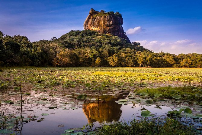 Sigiriya and Dambulla From Negombo - Pricing and Cancellation Policy