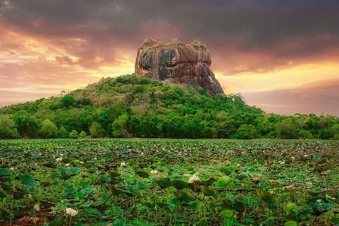 Sigiriya and Dambulla Tour (All Inclusive) - Exploring Sigiriya