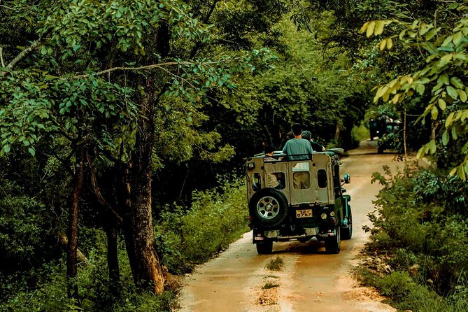 Sigiriya and Minneriya Great Escape - Good To Know