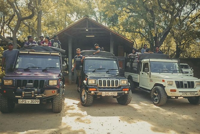 Sigiriya and Minneriya Great Escape - Discovering Ancient History and Culture