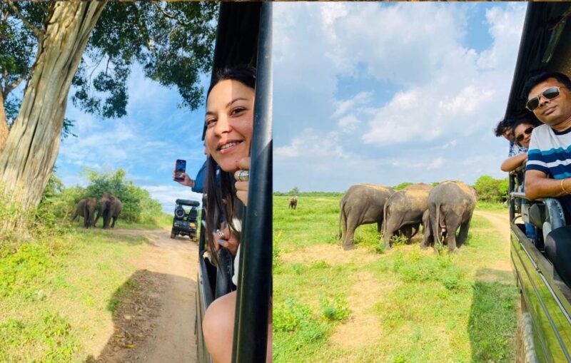 Sigiriya and Minneriya National Park Day Tour From Negombo - Included and Excluded