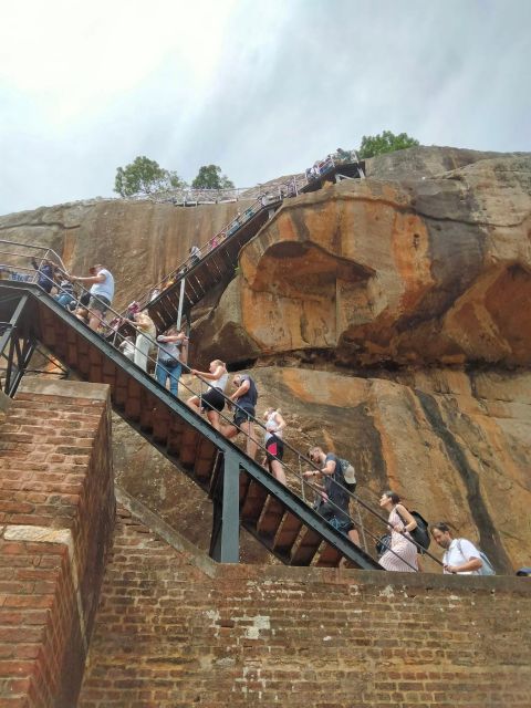 Sigiriya and Minneriya National Park Day Tour From Negombo - Scenic Sigiriya Lion Rock