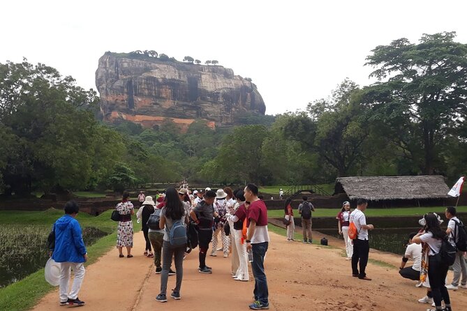 Sigiriya, Dambulla and Minneriya National Park Private Tour In - Meeting, Pickup, and Schedule