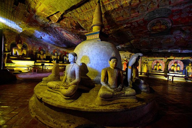 Sigiriya , Dambulla and Pidurangala - Full Day Private Tour - Customer Feedback and Ratings