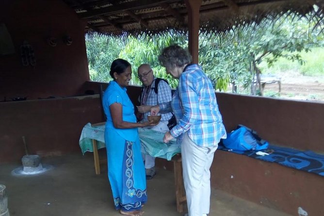 Sigiriya & Dambulla Day Excursion From Negombo - Meeting and Pickup Details