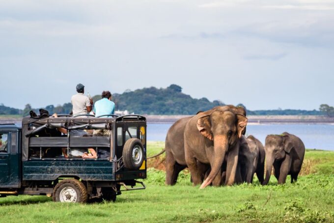 Sigiriya Dambulla & Minneriya Safari With Pickup/Drop - Recap
