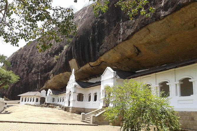 Sigiriya Day Tour - Dambulla Cave Temple - Customer Feedback and Satisfaction