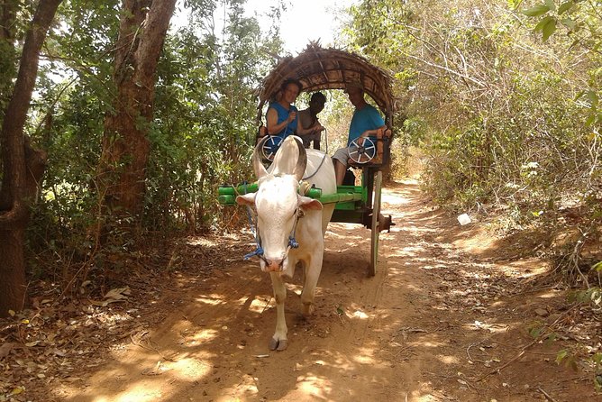 Sigiriya Day Tour - Dambulla Cave Temple - Kandy Village Cooking Class