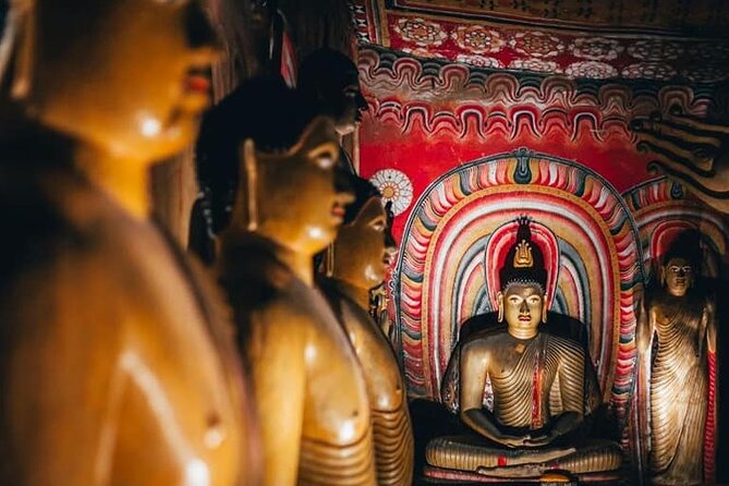 Sigiriya Day Tour From Kandy - Customer Feedback Highlights