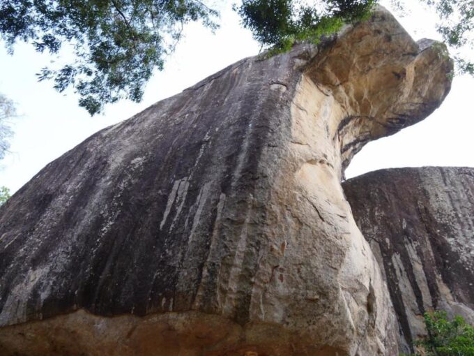 Sigiriya Day Tour | Visit Sigiriya Rock Dambulla Cave Temple - Transportation Options