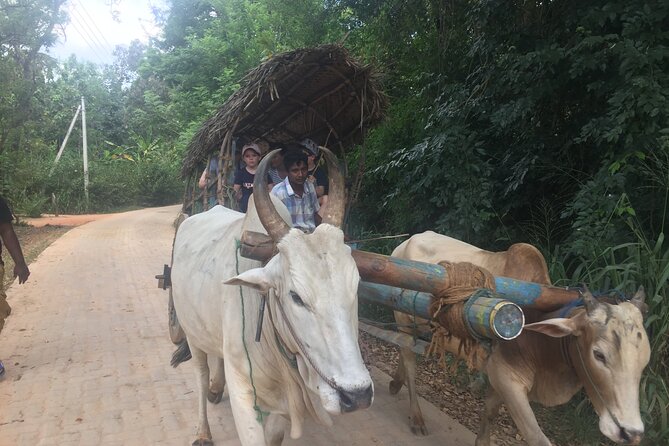 Sigiriya Day Trip With Experts - Booking and Confirmation