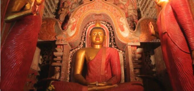 Sigiriya: Guided Bird Watching and Jungle Tour With Lunch - Booking and Cancellation