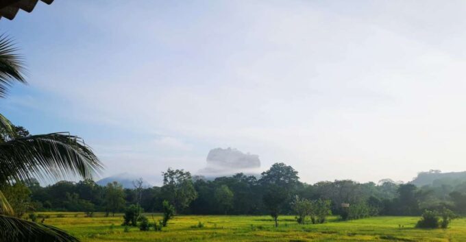 Sigiriya: Guided Bird Watching and Jungle Tour With Lunch - Explore Sigiriyas Nature
