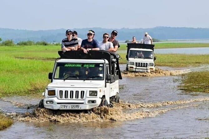Sigiriya Hike & Minneriya Safari Private Full Day Tour - Why This Tour Offers Great Value