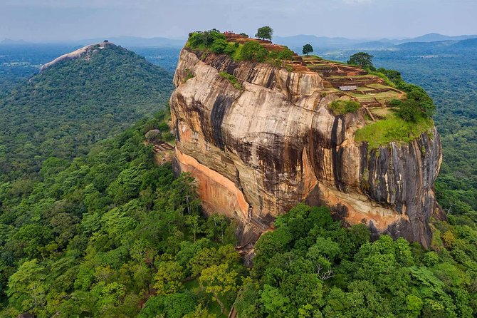 Sigiriya & Minneriya Safari Tour From Dambulla - Traveler Information