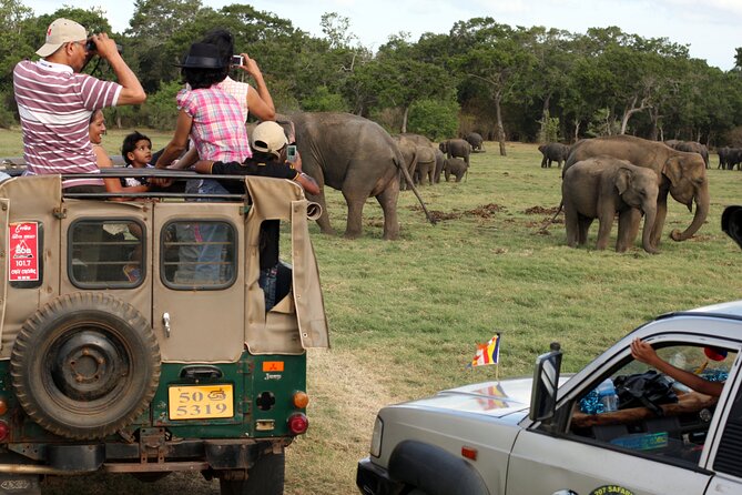 Sigiriya & Minneriya Safari Tour From Negombo - Customer Feedback