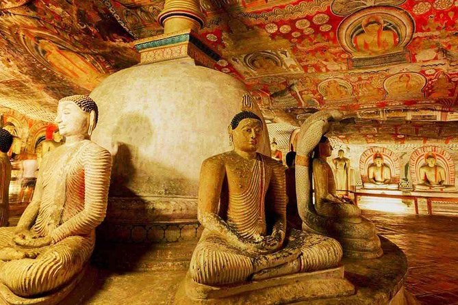 Sigiriya Rock and Dambulla Cave Temples From Negombo (All Inclusive Day Tour) - Customer Feedback and Ratings