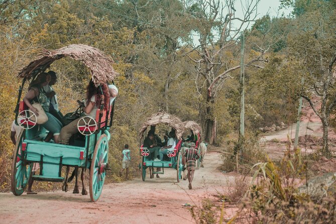 Sigiriya Rock and Village Tour From Colombo - Itinerary Details