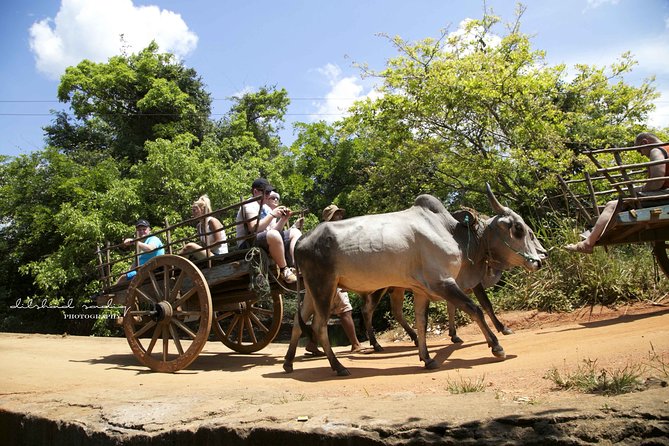 Sigiriya Rock and Village Tour From Colombo - Additional Information