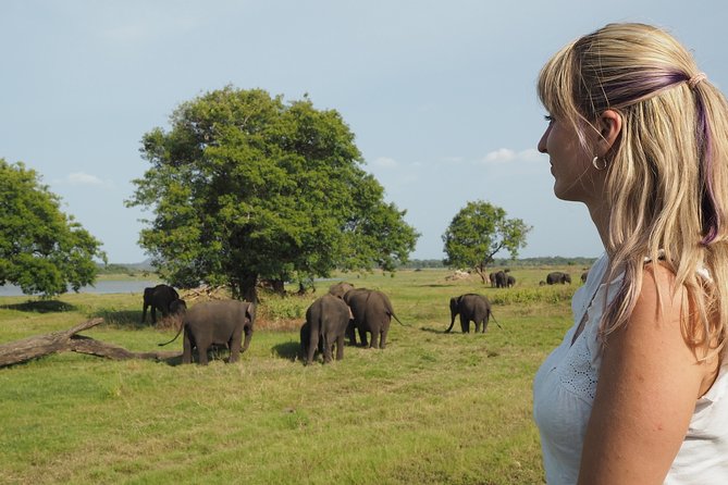 Sigiriya Rock and Wild Elephant Safari From Kandy - Additional Information