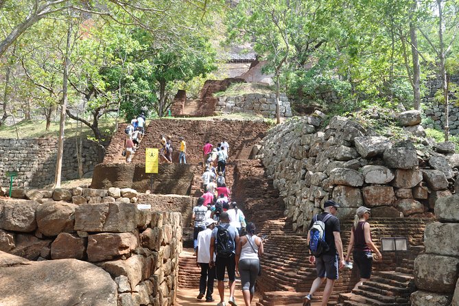 Sigiriya Rock and Wild Elephant Safari From Kandy - Safari in Minneriya National Park