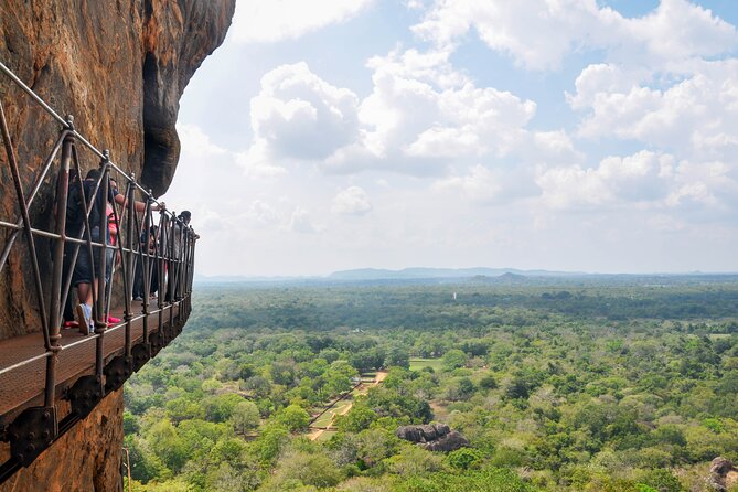 Sigiriya Rock and Wild Elephant Safari From Sigiriya - What to Expect