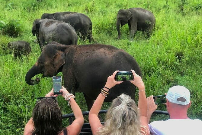 Sigiriya Rock Climb, Village Tour+Cooking Class & Elephant Safari - Key Points