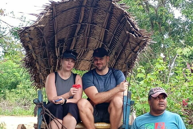Sigiriya Rock Climb, Village Tour+Cooking Class & Elephant Safari - A Deep Dive into the Tour Experience