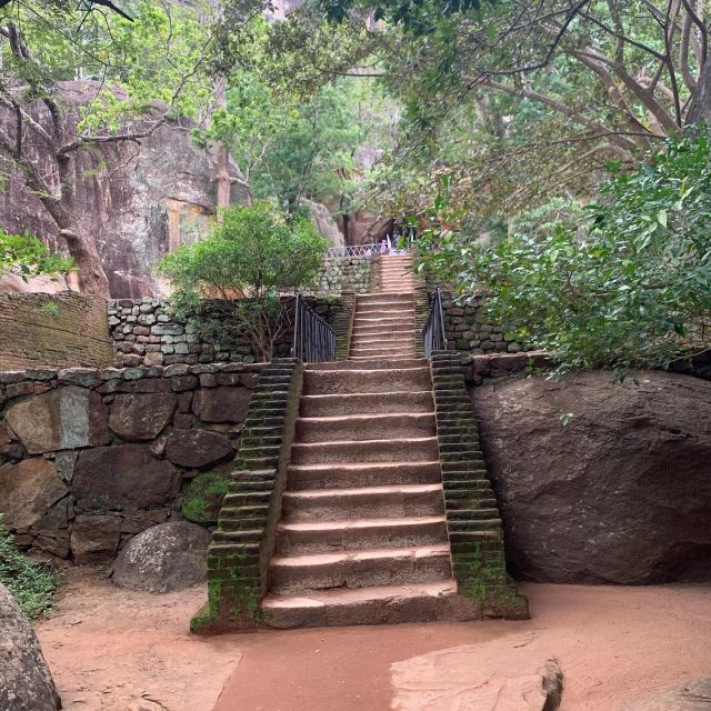 Sigiriya Rock & Dambulla Minneriya National Park Jeep Safari - Minneriya National Park