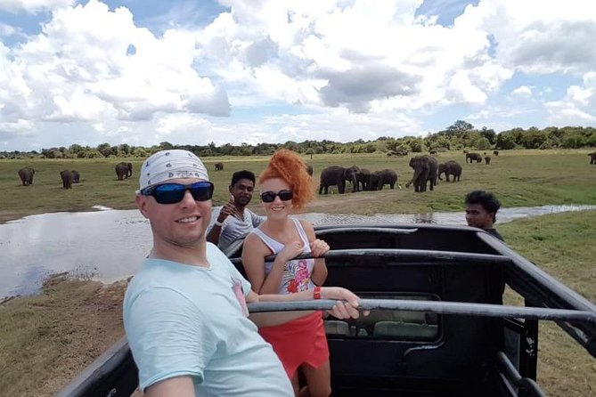 Sigiriya Rock or Pidurangala and Polonnaruwa and National Park - Transportation and Group Size