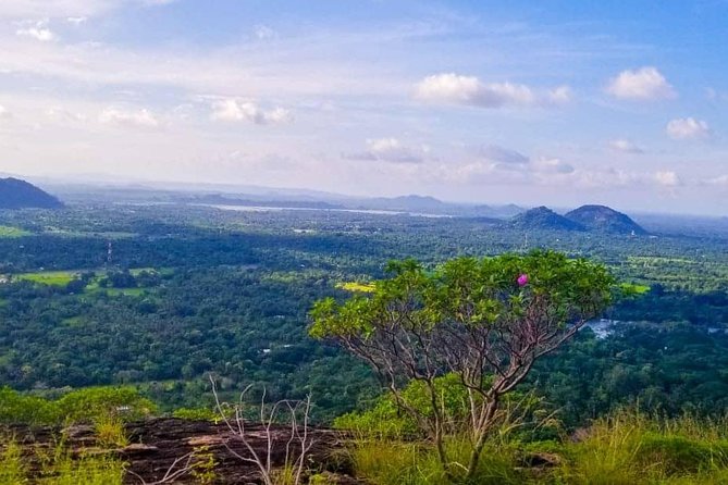 Sigiriya Rock or Pidurangala and Polonnaruwa and National Park - Meeting and Pickup Details
