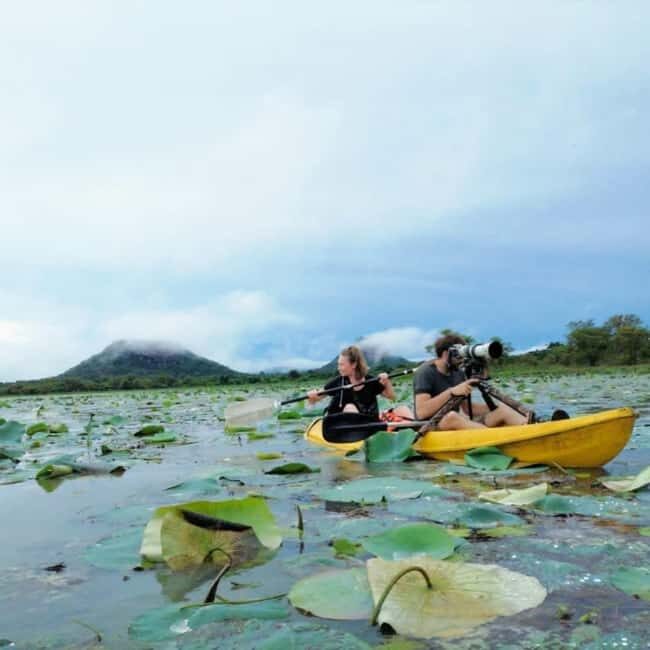 Sigiriya: Sunrise or Sunset Kayaking Tour - A Detailed Look at the Sigiriya Kayaking Experience