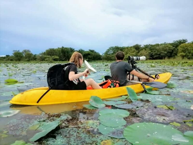 Sigiriya: Sunrise or Sunset Kayaking Tour - FAQ