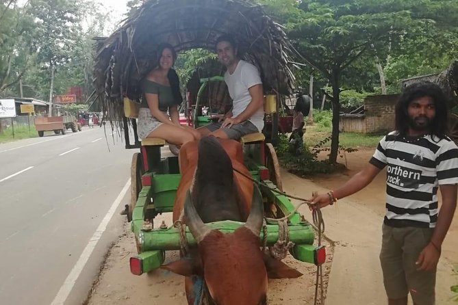 Sigiriya, Traditional Lunch and Cave Temple Private Day Tour All Inclusive - Transport and Inclusions