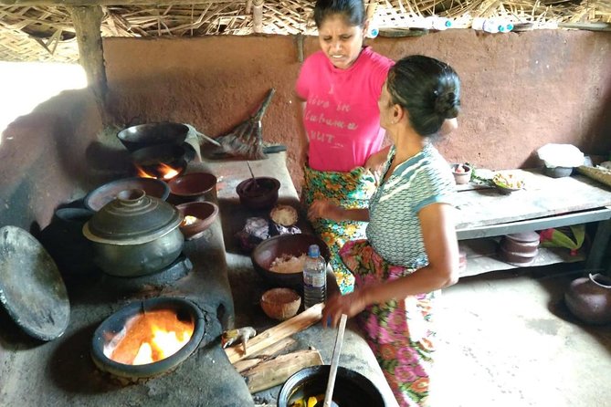 Sigiriya, Traditional Lunch and Cave Temple Private Day Tour All Inclusive - Traveler Feedback and Insights